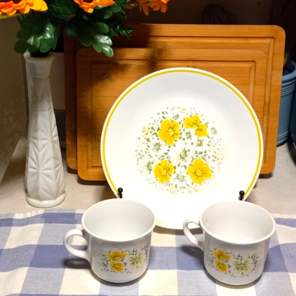 Vintage Corelle by Corning APRIL Luncheon Plate 9" with set of 2 CoffeeTea Cups